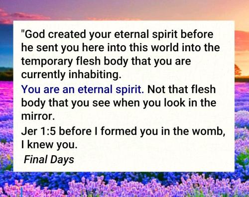 14:24:46 GMT-0400 (EDT)