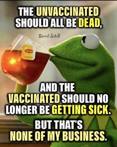 xephula_978be16d7273ece0645f4456c8f4dac9