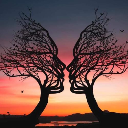 FB_IMG_1664004896011