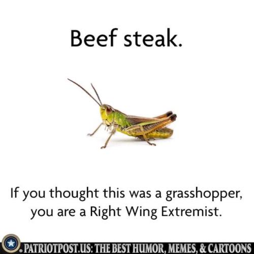 FB_IMG_1665246584991
