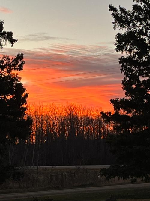 0DFE83FB-4F08-47ED-994E-B9C52A3100C1