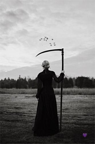 tumblr_f4f2dc943fcba70a64b1dc06030bfa2e_b7692c7c_500