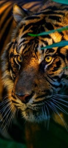 tumblr_78f7765cbeeeb78dec505f3a34cd4a91_d6de0a61_1280