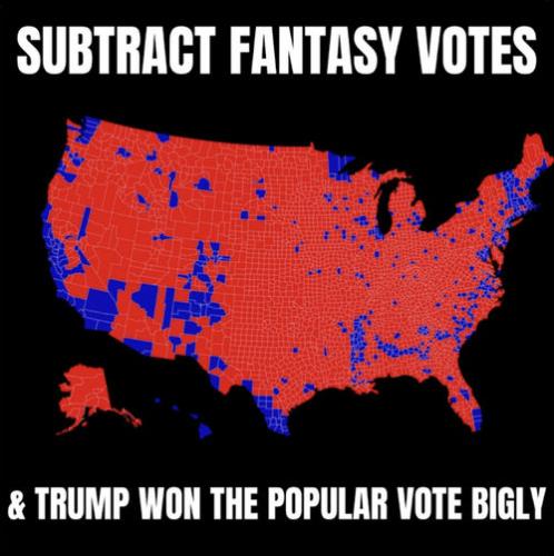 voterfraud366