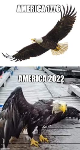 FB_IMG_1665333752226
