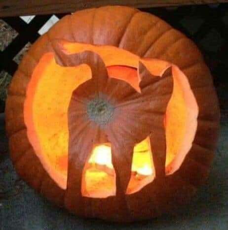 0ae7b3cf-3cc7-4335-9e3d-8328872b41f8