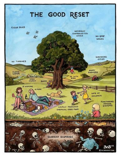 xephula_fc7b2571a533ae5d52e9cc152344dbfd