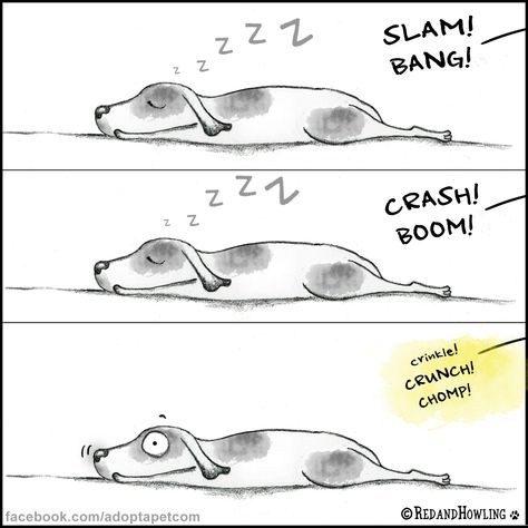 311139816_5590365424343152_7343321208358886410_n