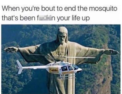 FB_IMG_1666464291662