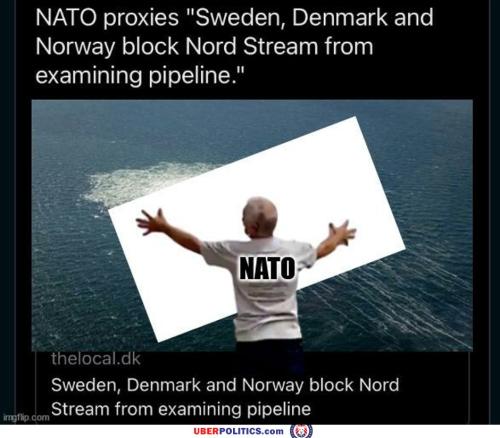 nothing-to-see-here5185