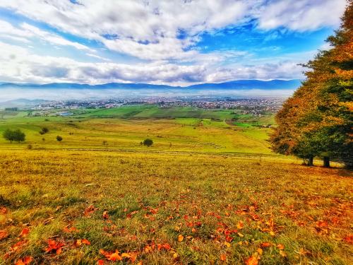 IMG_20221009_132140-01