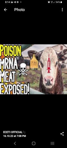 Screenshot_20221018-081415_Telegram