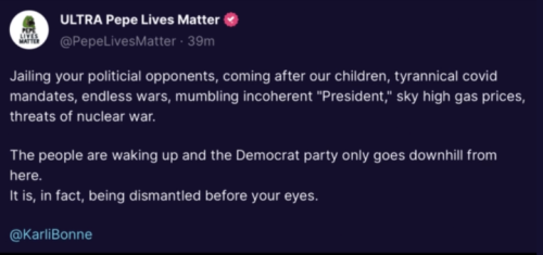Dem Party 1