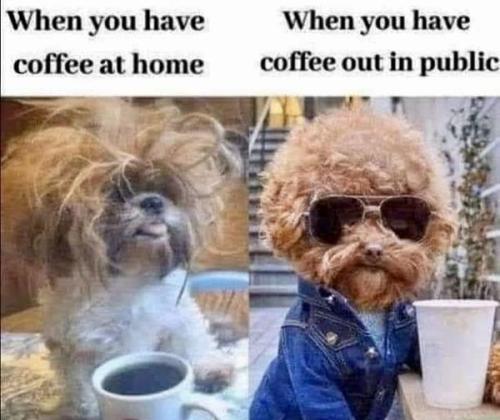 312742860_2744935542309834_2723649815730606250_n