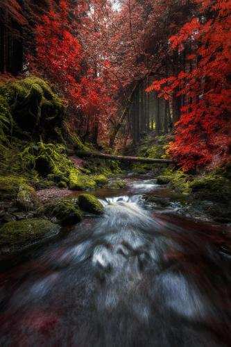 tumblr_f2b20495f18cfb1d842d7ab72d31c4ae_dc26eea1_540