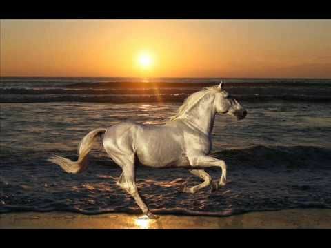 c8fffc2e39743d12444468169a2a4b7f