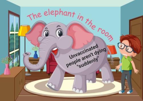 311431126_146610371417996_3232763809503527561_n