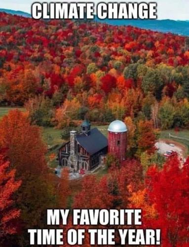 FB_IMG_1665585938506