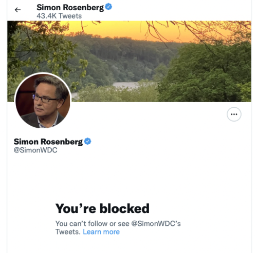 @simonWDC Simon Rosenberg blue checkmark blockedbylibtard