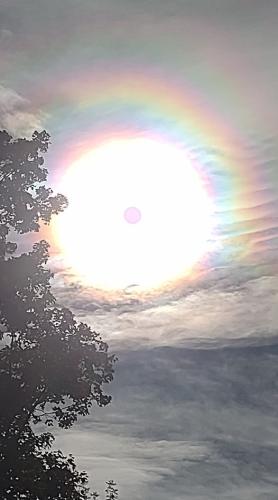 ,                                                                                                                                                                                                                          0 a