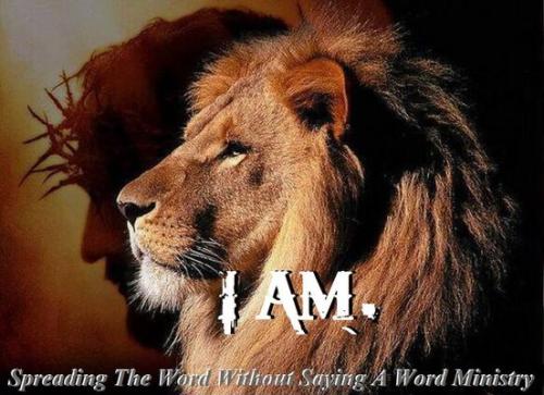 305244946_859248225047218_7219549067888592215_n