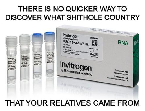 shithole12