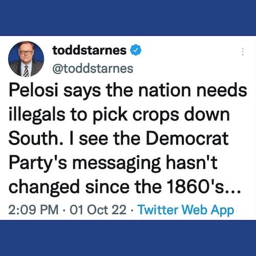 Illegals Pelosi 1
