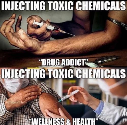 c018bc56-4d77-46d0-b065-4bffe4db9f83