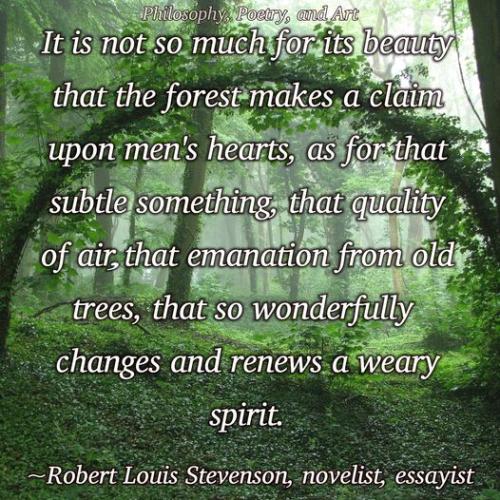 313265222_5798758990191535_1535111236247278828_n