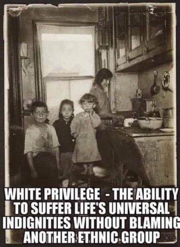 FB_IMG_1666711356364