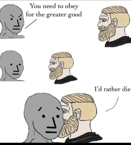 IMG_20221005_054558_391