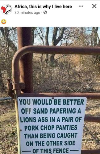 FB_IMG_1666191010800
