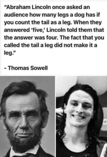 FB_IMG_1664341739676