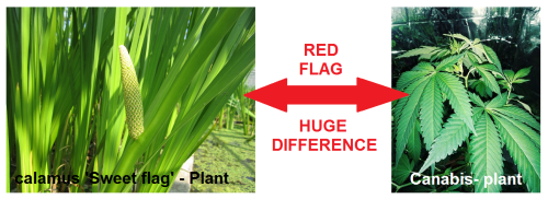 309746876_1183050848956350_2328834544531266379_n