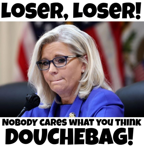 nobody cares what liz cheney thinks douchebag