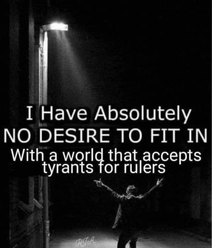 FB_IMG_1666472046397