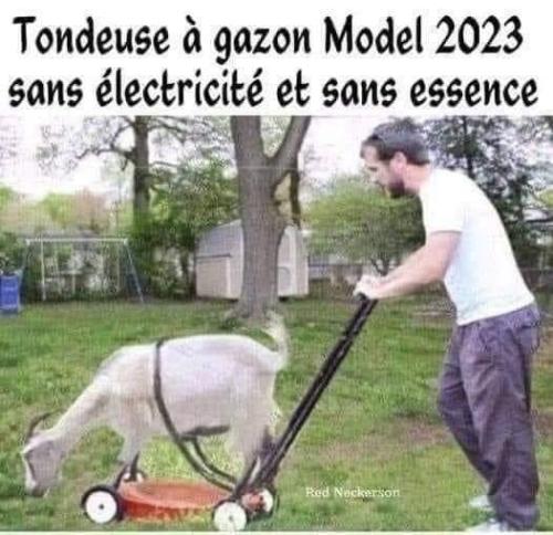 Tondeuse-gazon-2023