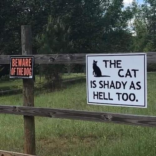 FB_IMG_1664889259637