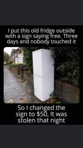FB_IMG_1664981797993