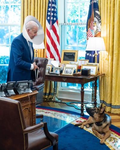 FB_IMG_1665853247678