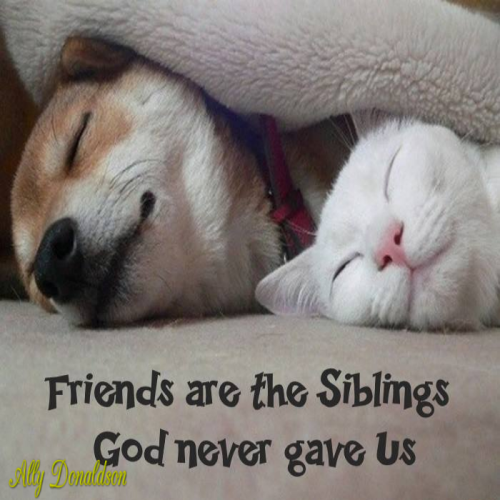 306711956_5916955668343863_611022425083843763_n