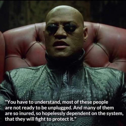 FB_IMG_1667041859613