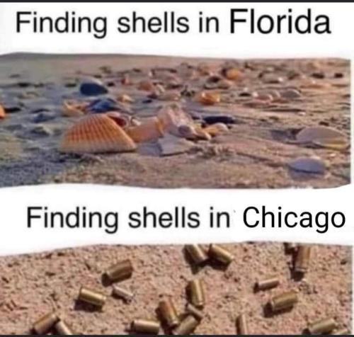 FB_IMG_1665801744071