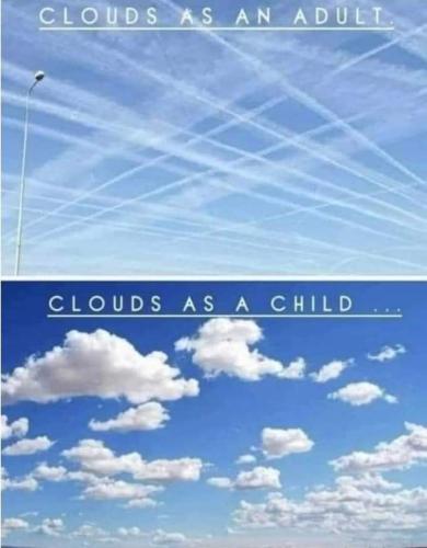 FB_IMG_1666948983956