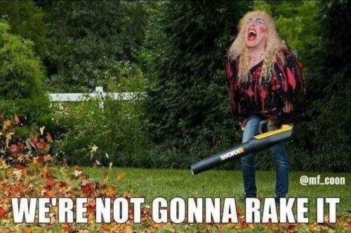 image_7BDC613D-D333-4AFA-8B4A-04A0CC7AF95D