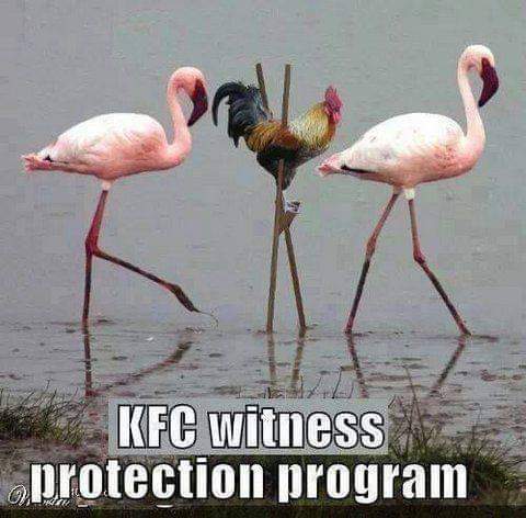 FB_IMG_1666713387806