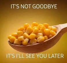 310920657_113028481570172_450012988990139690_n