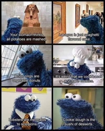 311450763_115983654607988_7599825152757746091_n