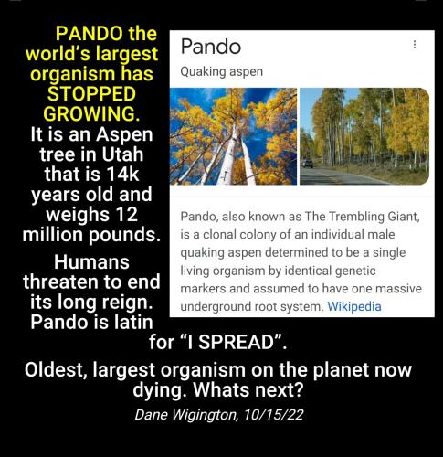 18:01:19 GMT-0400 (EDT)