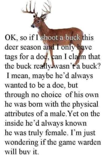 transgender buck deer